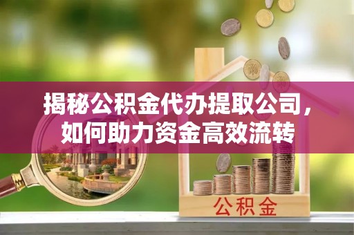 大城揭秘公积金代办提取公司，如何助力资金高效流转
