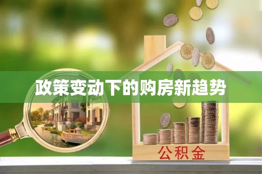 大城政策变动下的购房新趋势