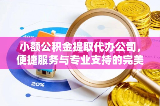 大城小额公积金提取代办公司，便捷服务与专业支持的完美结合