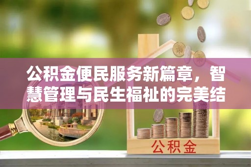 大城公积金便民服务新篇章，智慧管理与民生福祉的完美结合