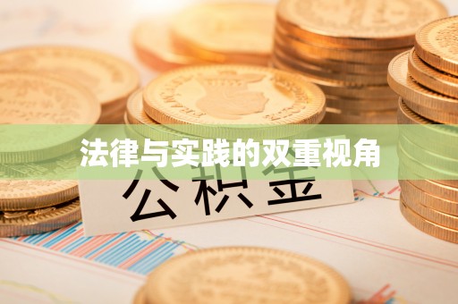 大城法律与实践的双重视角