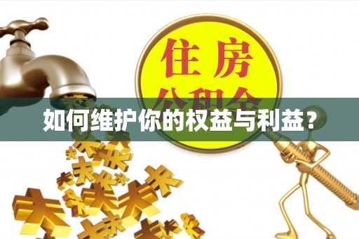 大城如何维护你的权益与利益？