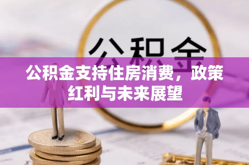 大城公积金支持住房消费，政策红利与未来展望