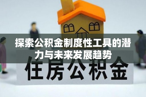 大城探索公积金制度性工具的潜力与未来发展趋势