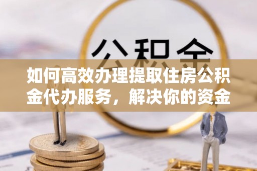 大城如何高效办理提取住房公积金代办服务，解决你的资金需求