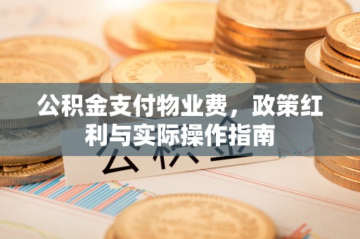 大城公积金支付物业费，政策红利与实际操作指南