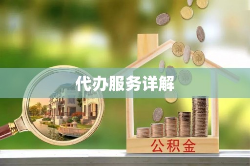 大城代办服务详解