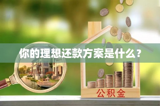大城你的理想还款方案是什么？