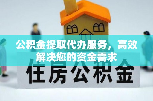 大城公积金提取代办服务，高效解决您的资金需求