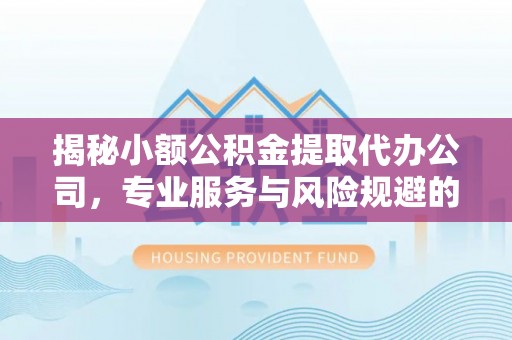 大城揭秘小额公积金提取代办公司，专业服务与风险规避的平衡艺术