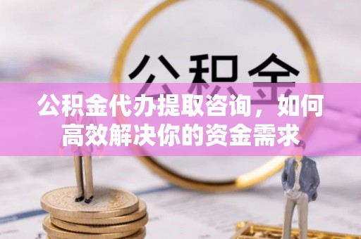 大城公积金代办提取咨询，如何高效解决你的资金需求