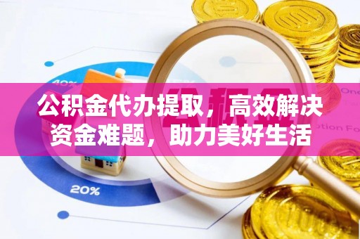 大城公积金代办提取，高效解决资金难题，助力美好生活