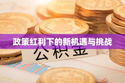 大城政策红利下的新机遇与挑战