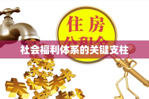 大城社会福利体系的关键支柱