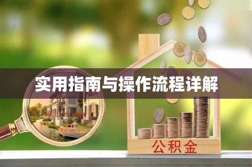 大城实用指南与操作流程详解
