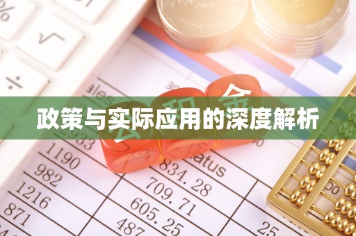 大城政策与实际应用的深度解析