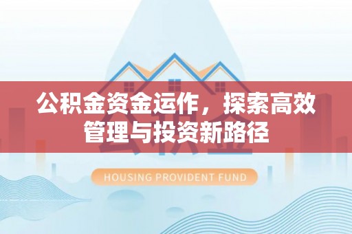 大城公积金资金运作，探索高效管理与投资新路径