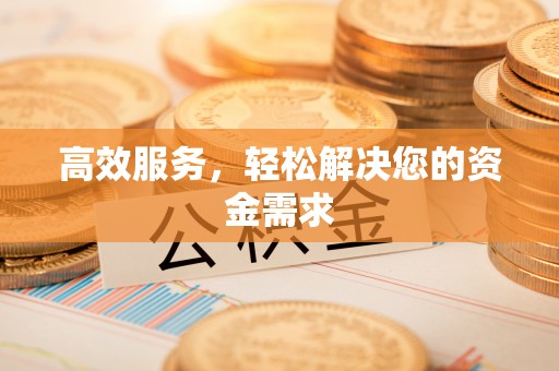 大城高效服务，轻松解决您的资金需求