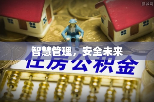 大城智慧管理，安全未来