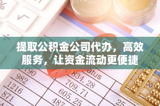 大城提取公积金公司代办，高效服务，让资金流动更便捷