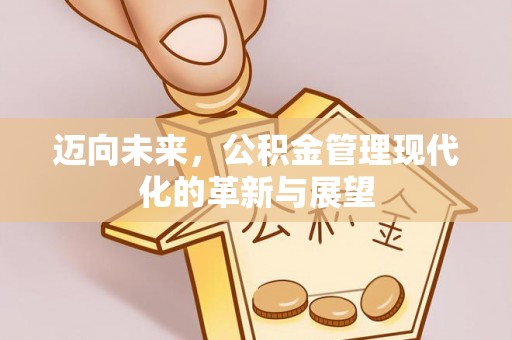 大城迈向未来，公积金管理现代化的革新与展望