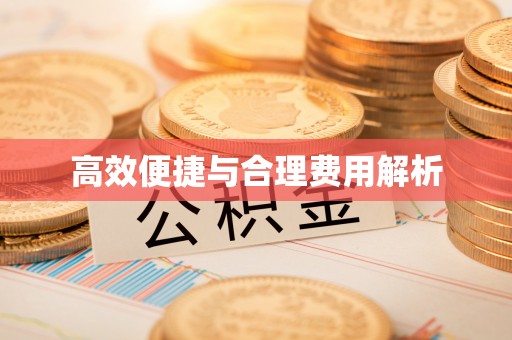大城高效便捷与合理费用解析