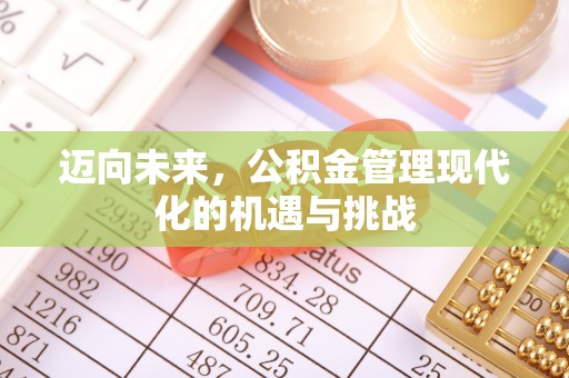 大城迈向未来，公积金管理现代化的机遇与挑战