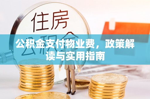 大城公积金支付物业费，政策解读与实用指南