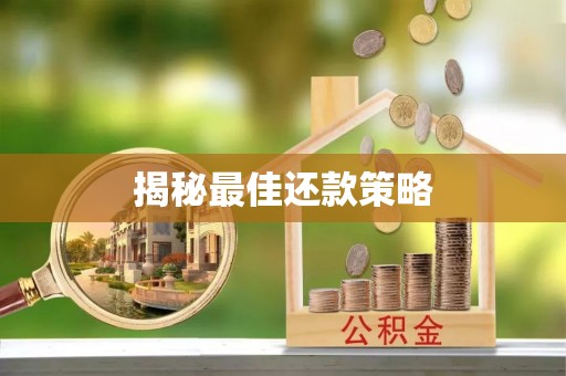 大城揭秘最佳还款策略