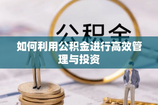 大城如何利用公积金进行高效管理与投资