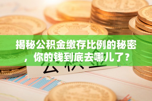 大城揭秘公积金缴存比例的秘密，你的钱到底去哪儿了？