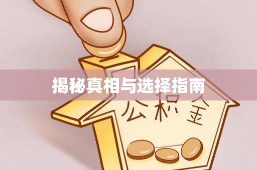 大城揭秘真相与选择指南