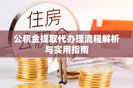 大城公积金提取代办理流程解析与实用指南