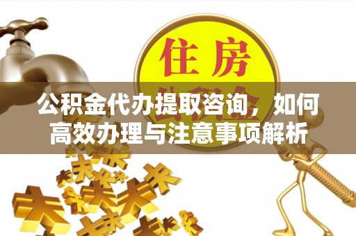 大城公积金代办提取咨询，如何高效办理与注意事项解析