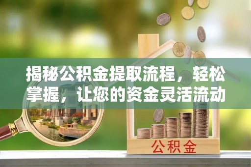 大城揭秘公积金提取流程，轻松掌握，让您的资金灵活流动