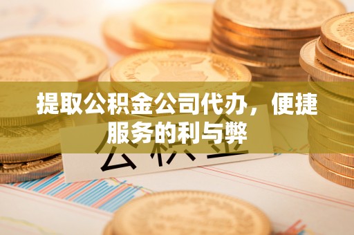 大城提取公积金公司代办，便捷服务的利与弊