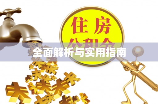 大城全面解析与实用指南