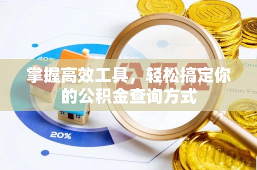 大城掌握高效工具，轻松搞定你的公积金查询方式