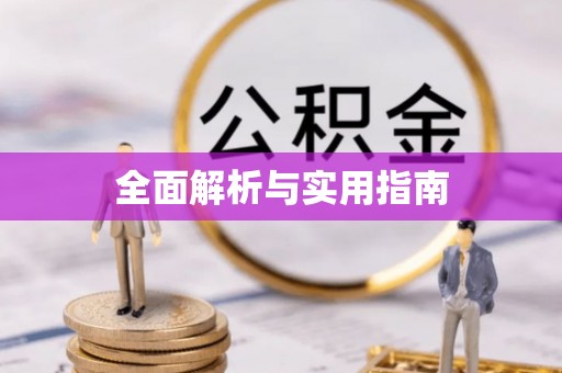 大城全面解析与实用指南