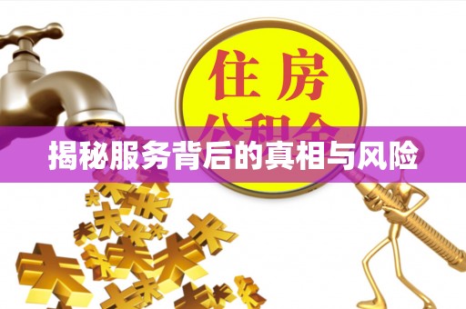 大城揭秘服务背后的真相与风险